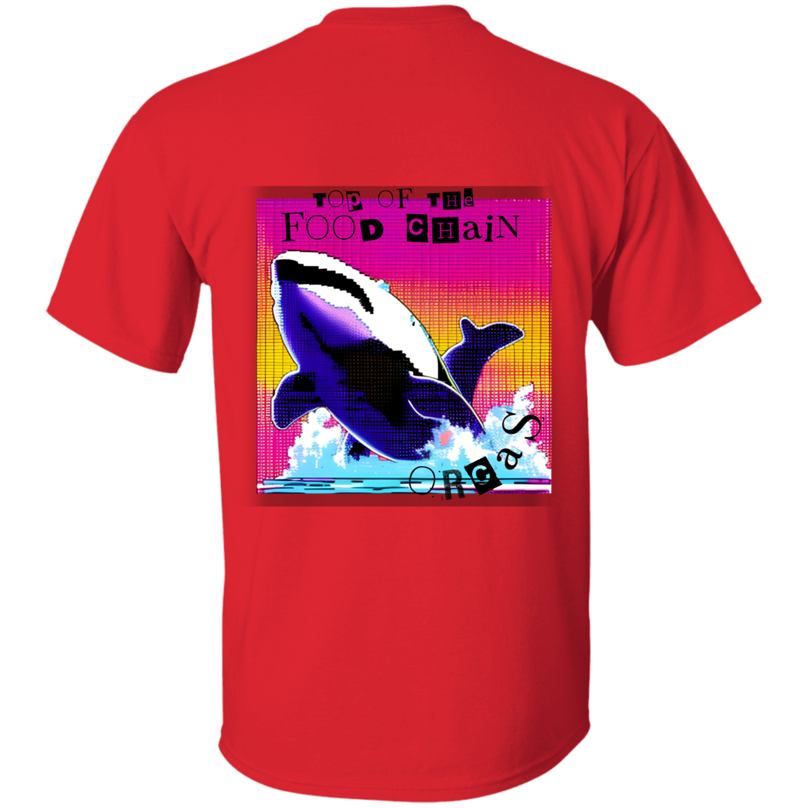 Orcas: Top of the food chain