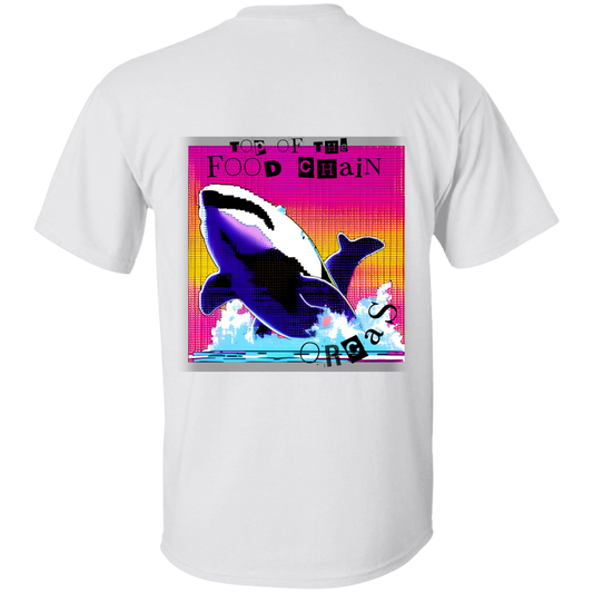 Orcas: Top of the food chain